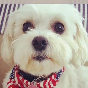 Meet your Posher, Kelley